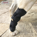 O invólucro protetor da junção do pé da compressão do cão da parte traseira do animal de estimação protege feridas e ferimento